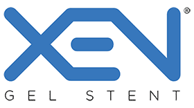 XEN Gel Stent Logo Vector's thumbnail