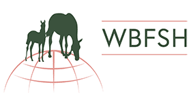 WBFSH – World Breeding Federation of Sport Horses Logo Vector's thumbnail